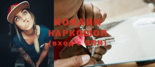 a pvp Бородино