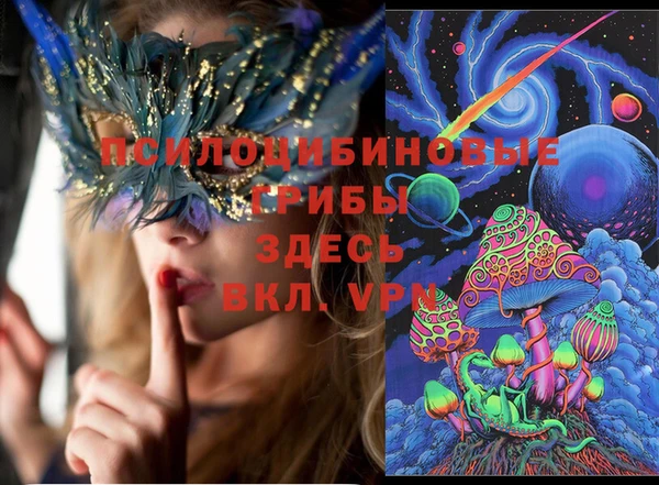 a pvp Бородино