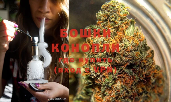 a pvp Бородино