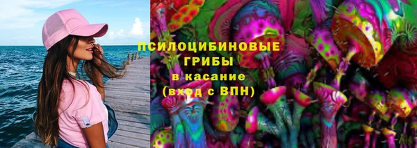 a pvp Бородино