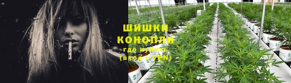 a pvp Бородино