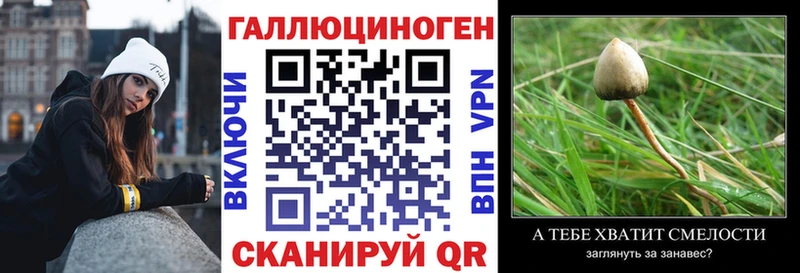 Галлюциногенные грибы Psilocybine cubensis  Купить  Высоцк 