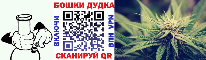 Конопля Amnesia  Купить закладки  Высоцк 